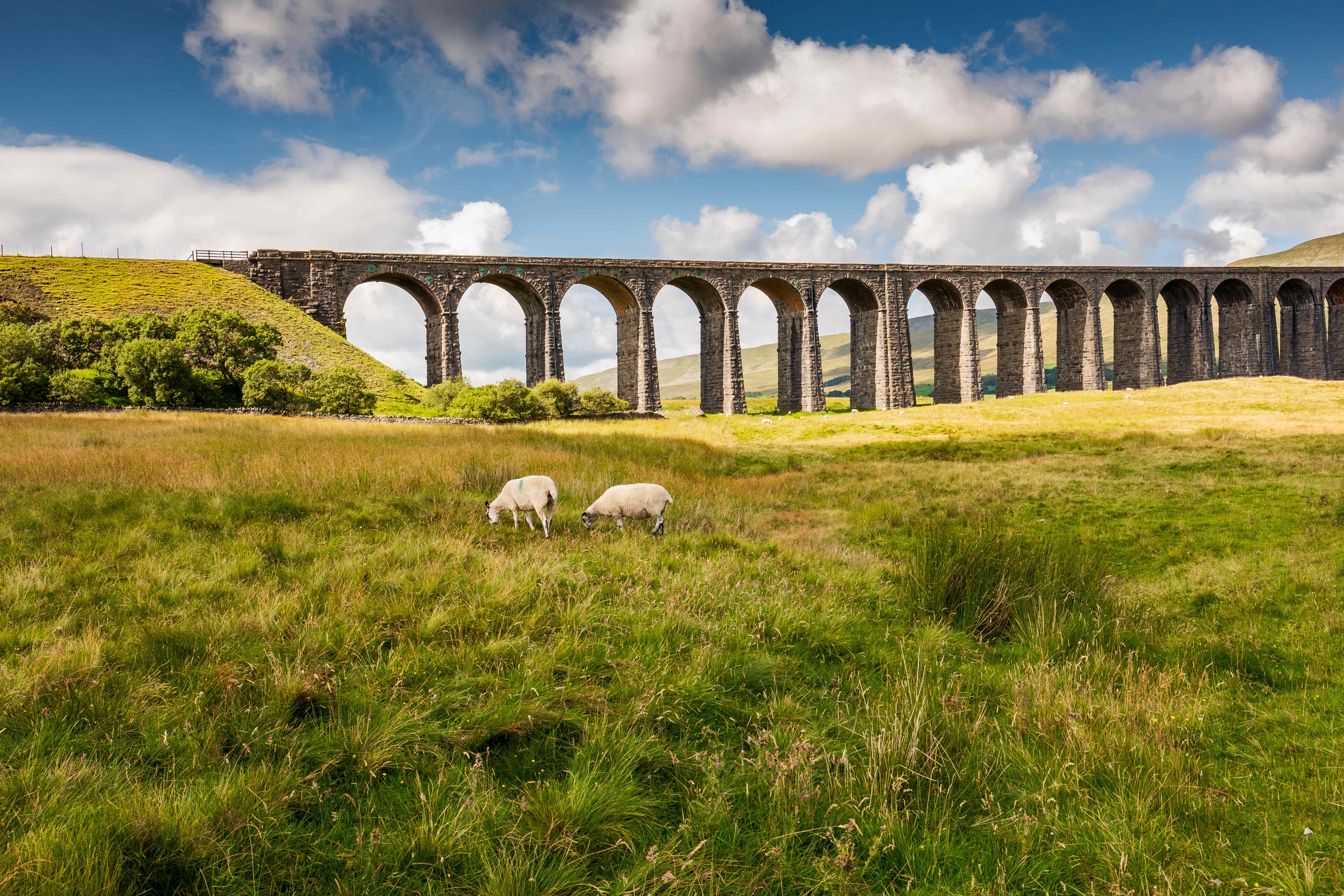 Ribblehead Viaduct in Yorkshire - scenic landscape showcasing the beautiful countryside we travel through